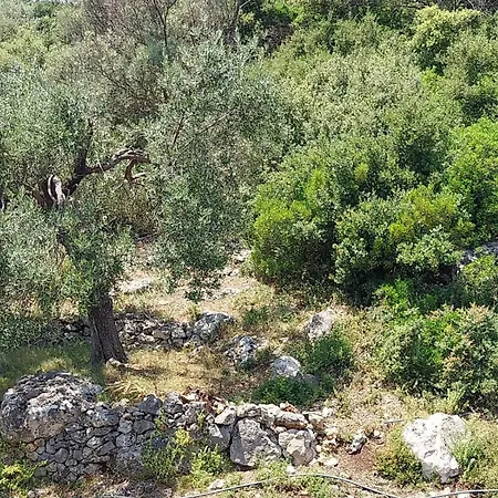 Lion's Lair ホテル 3*