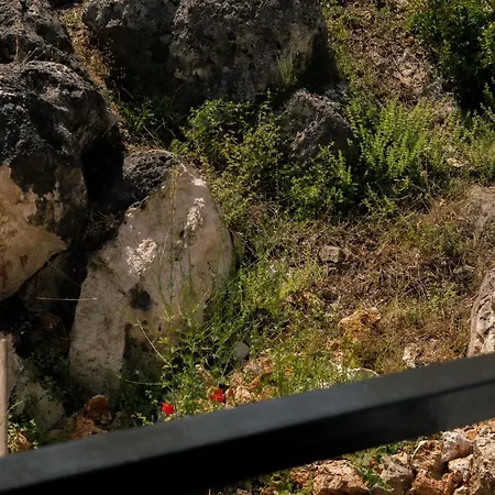 Lion's Lair 3*