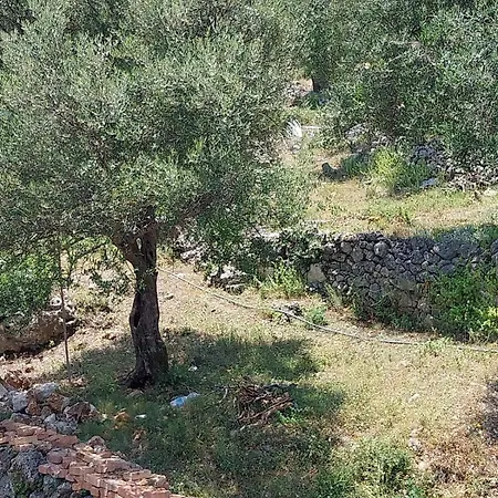 Otel Athena's & Kostas Himarë