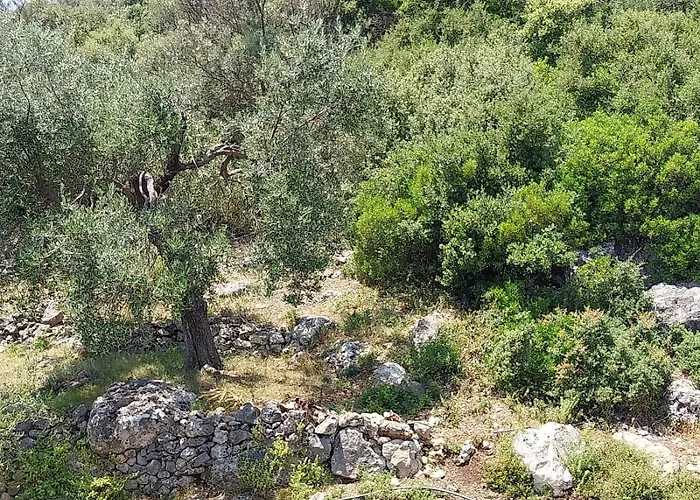 Lion's Lair Hotel 3*