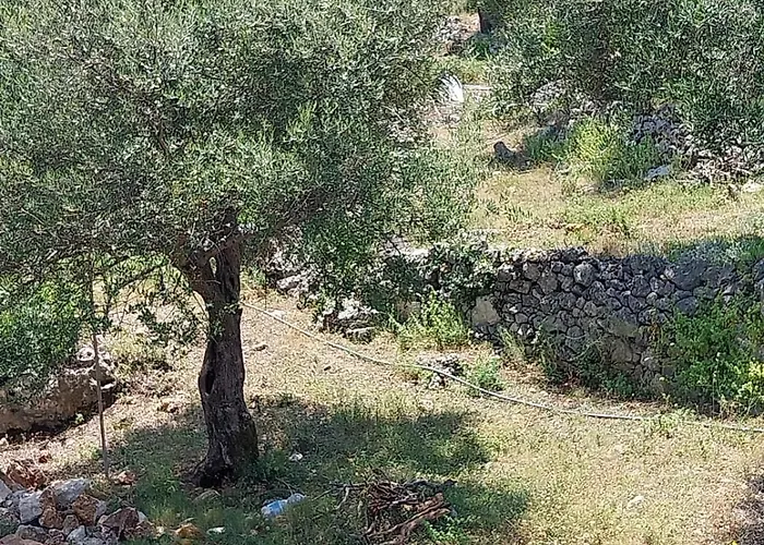 Hotel Lion's Lair Himara